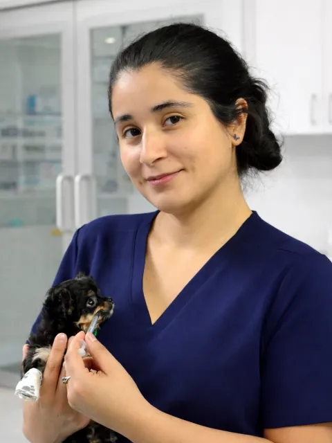 Dr Laura Piza, vétérinaire à domicile dans la région de Charleroi
