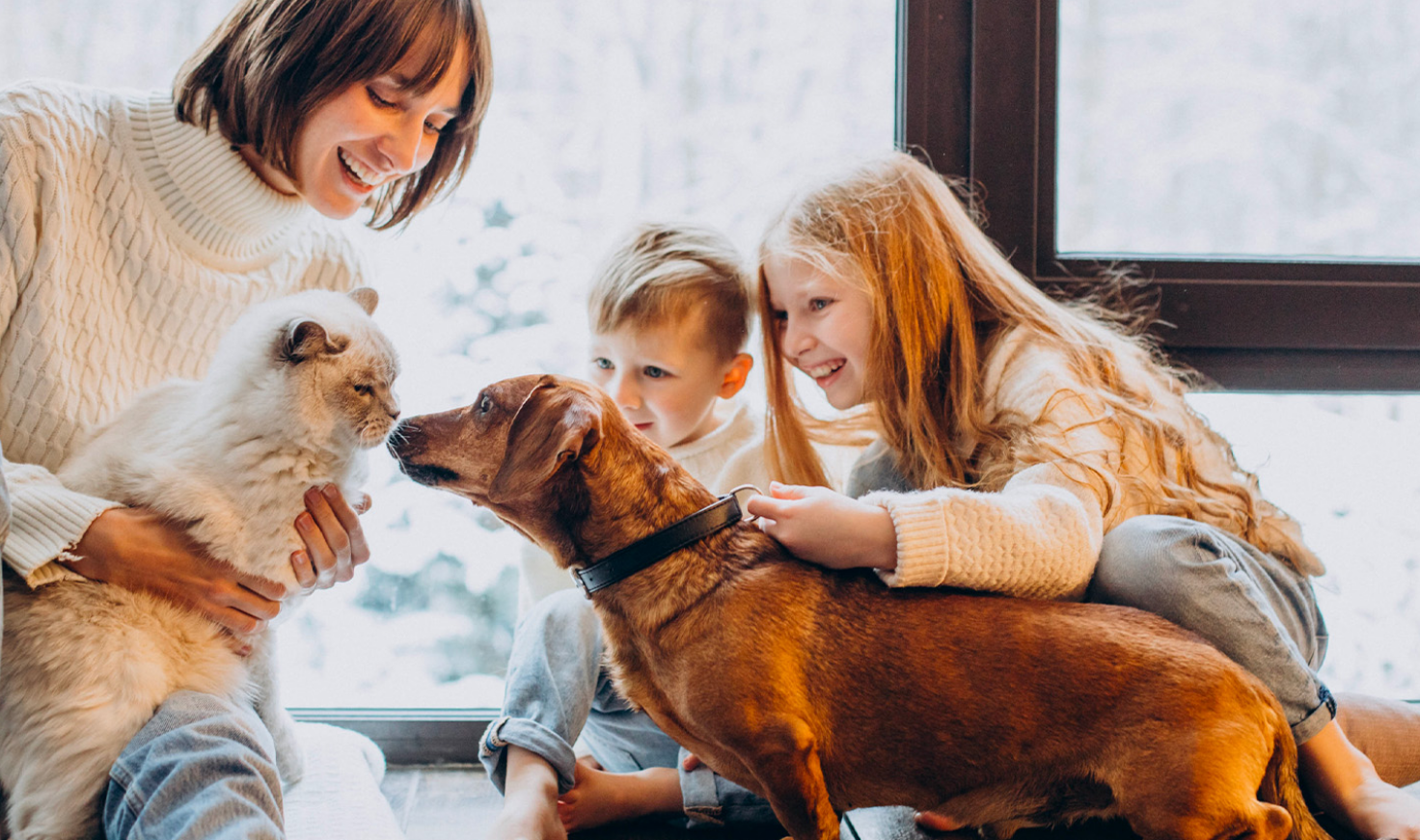 Un vieux chien recevant des caresses attentives